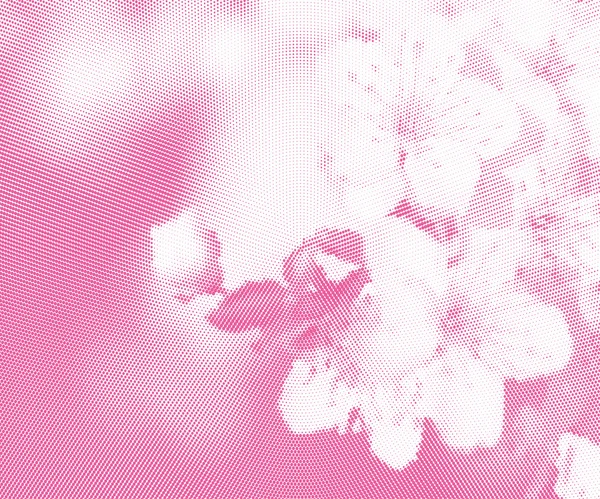 Fond rose avec des fleurs — Image vectorielle