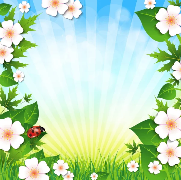 Spring or summer background with grass leaves and flowers and ladybird — Stock Vector