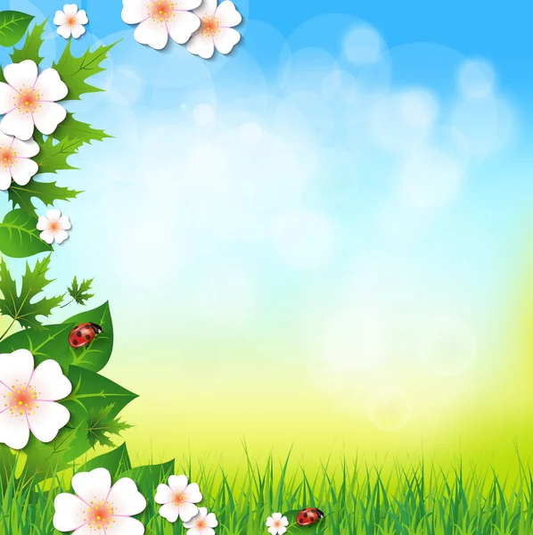 Spring or summer background with grass leaves and flowers — Stock Vector