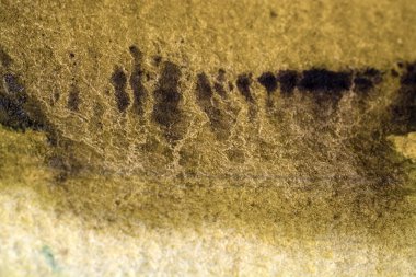 ıslak eski grunge arka plan