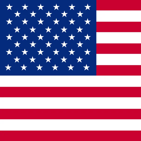 Flagge von Amerika — Stockvektor