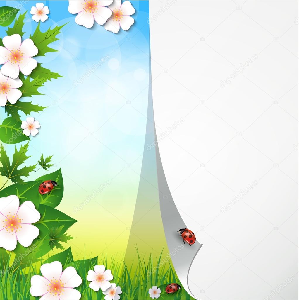 Sfondo primavera o estata con foglie di erba e fiori — Vettoriali Sfondo di primavera con fiori erba e una coccinella Vector — Vettoriali di nemetse