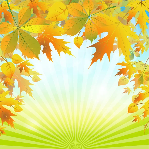 Feuilles d'automne sur le fond abstrait de la nature — Image vectorielle
