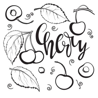 Yaprak ve böğürtlenli kiraz dalı çizmek, beyaz arkaplanda izole edilmiş siyah ana hat, tasarım ve dekorasyon için stok vektör çizimi, grafik biçimli yazdırma