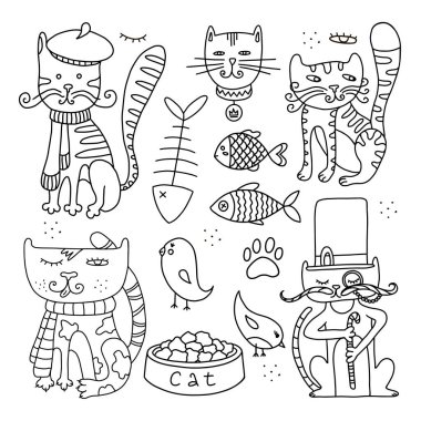 Sevimli kedi, karalama yapan kedi, evcil hayvan, beyaz arka planda siyah çizgi