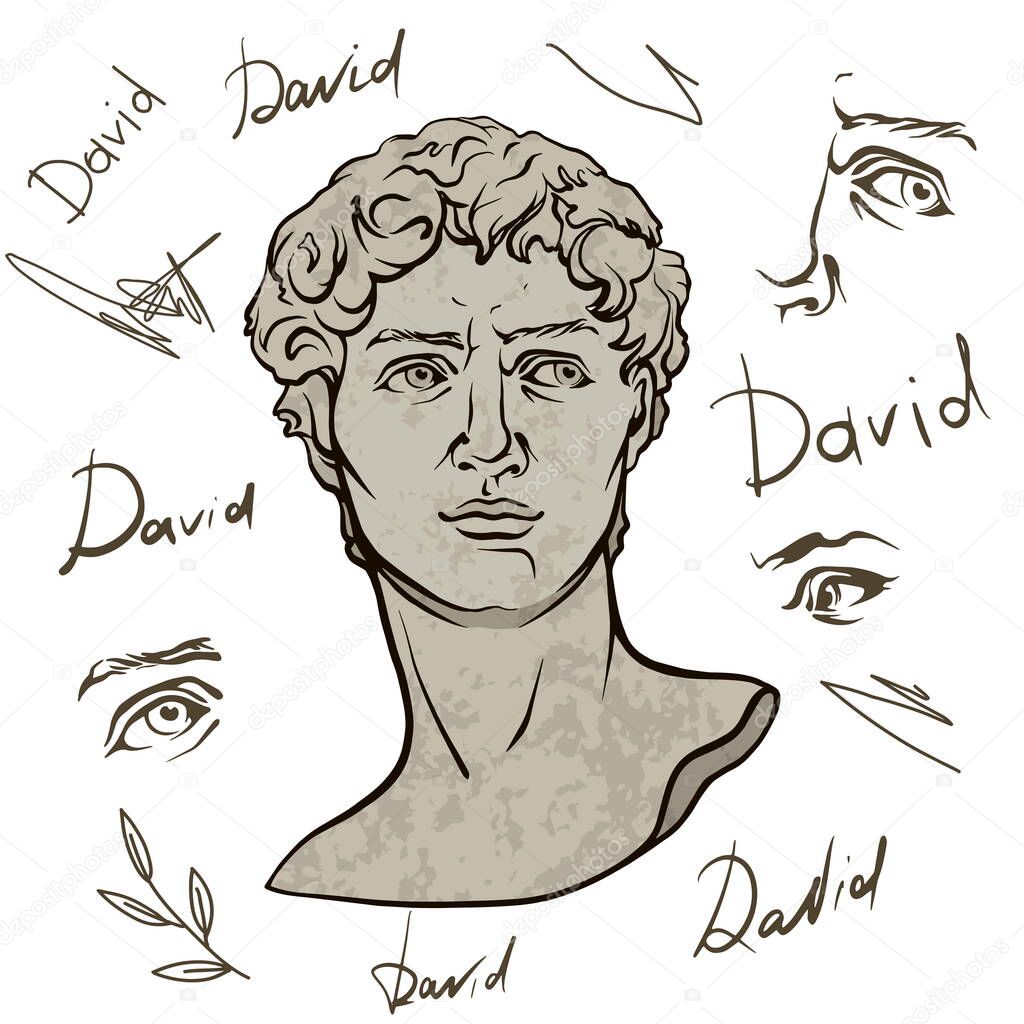 Antique statue head illustration. Work of art of the era of excitement. Hand drawing illustration of David s head. Period of Renaissance. Sculpture of Michelangelo.