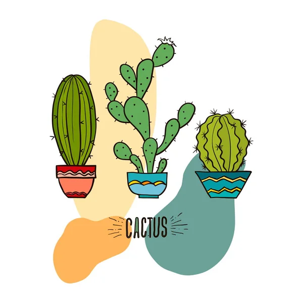 Cactus Plante Décorative Maison Pots Icônes Vectorielles Fleur Cactus Pot — Image vectorielle