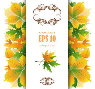 güzel sonbahar arka plan