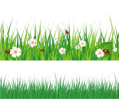 Dikişsiz yeşil çimen