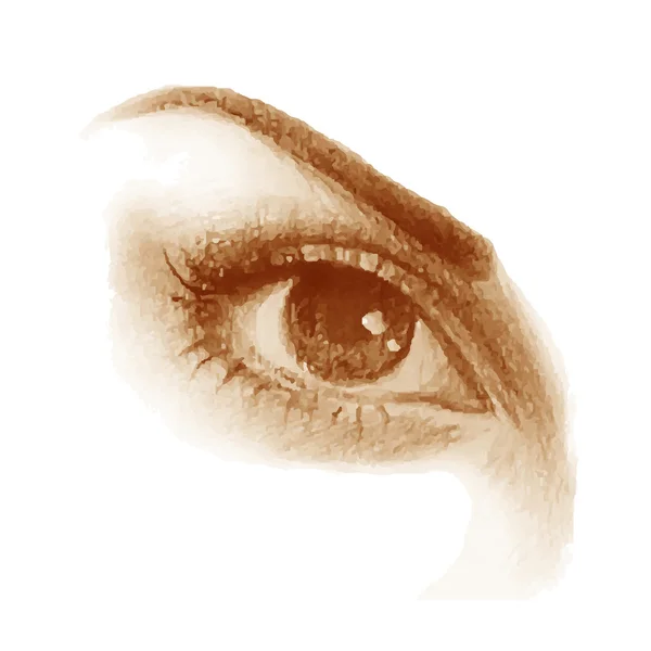 Очі красивої жінки — стоковий вектор