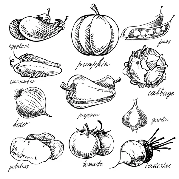 Ορισμός των διαφόρων doodles, χέρι συντάσσονται λαχανικά. — Διανυσματικό Αρχείο