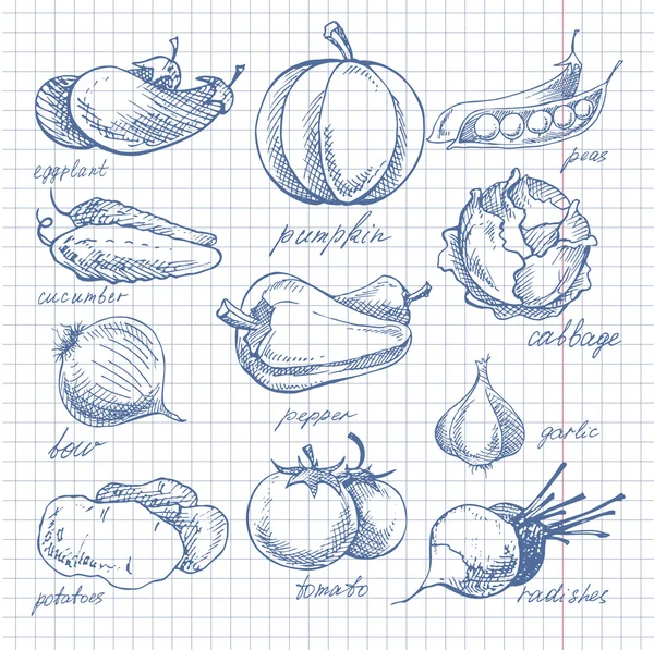 Zöldség doodle tintával cella notebook lapon — Stock Vector
