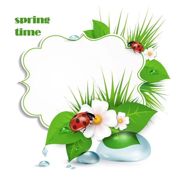 Spring background green — Stock Vector