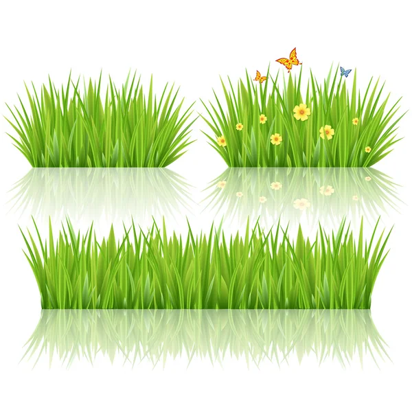 Vektorové zelené trávy — Stockový vektor
