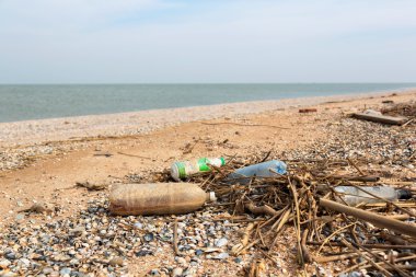 : Çöplükte ve kirlilik, Plastik atıkların kar fırtınaları sonra sahilde. Azak Denizi. Dolzhanskaya tükürük