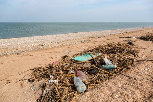 Pollution: garbages, plastic, and wastes on the beach after winter storms. Azov sea. Dolzhanskaya Spit