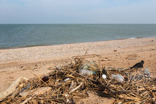 污染: 垃圾、 塑料和废料对冬季风暴后的海滩。亚速海。Dolzhanskaya 吐 图库照片