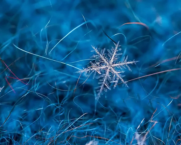 Macro close up a delicate natural snowflake on the blue background — Stock Photo, Image
