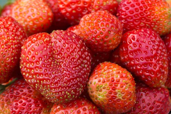 背景为新鲜成熟的红草莓。Closeup berry — 图库照片