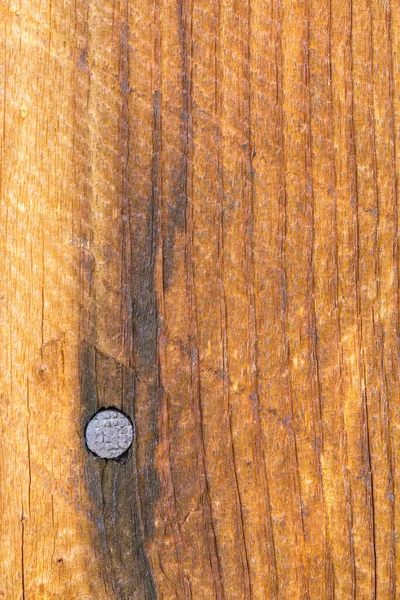 Primo piano di fondo in legno con un chiodo. — Foto Stock