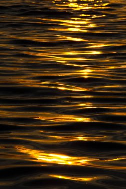 Deniz dalgaları. Koyu mavi deniz ve sabah erken saatlerde altın dalgalar. Doğal arkaplan.