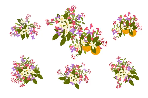 花南芥菜和橙花背景 — 图库矢量图片