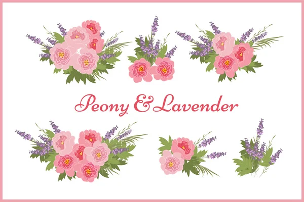 Peonía floral y fondo de lavanda — Vector de stock