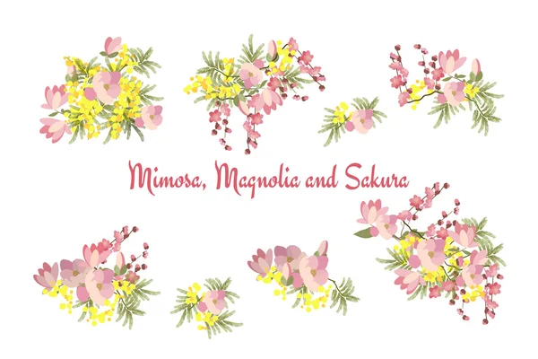 Mimosen Blumen und Blätter gesetzt — Stockvektor