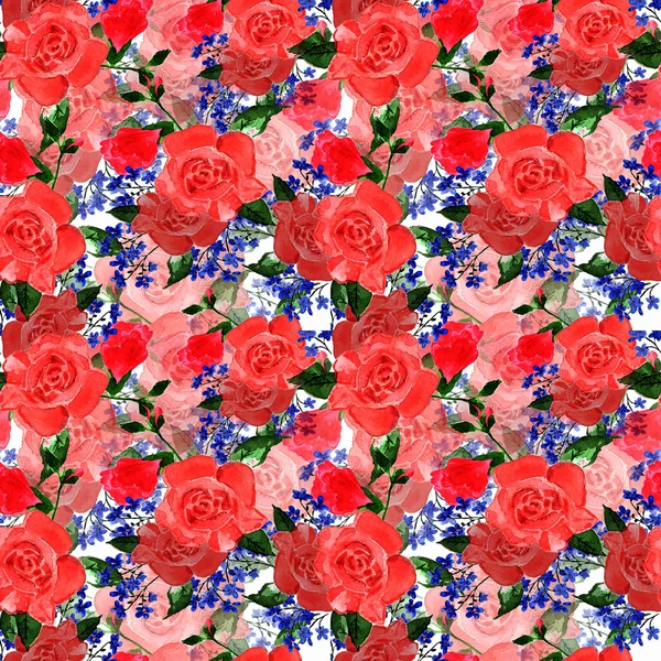 Aquarel rozen en forget-me-not bloemen — Stockfoto