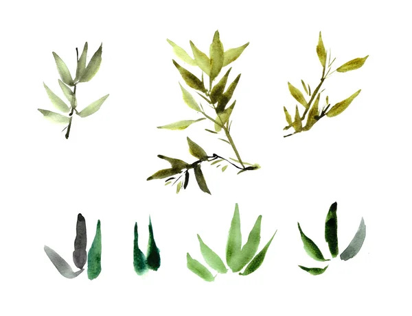 水彩竹植物的叶子 — 图库照片