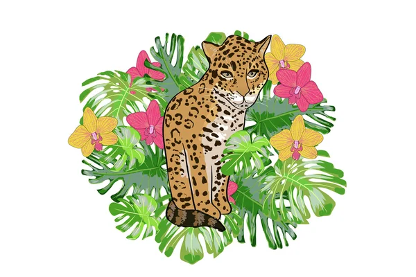 Imprimir orquídea de flores exóticas y jaguar . — Vector de stock