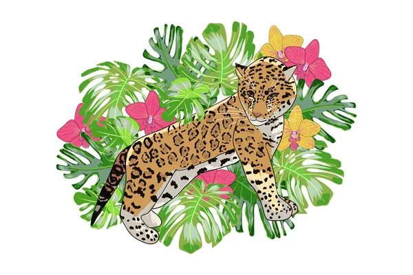 Imprimer fleur exotique orchidée et jaguar . — Image vectorielle