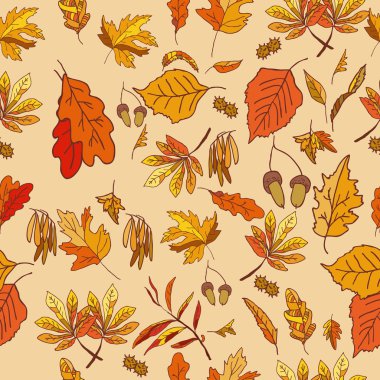 Sonbahar, sarı ve kırmızı yaprakları ile kompozisyon