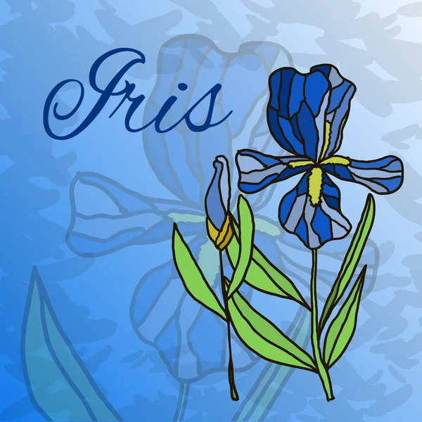 Bild der lebenden Blume Iris — Stockvektor