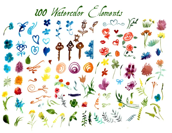 suluboya çiçek öğeleri