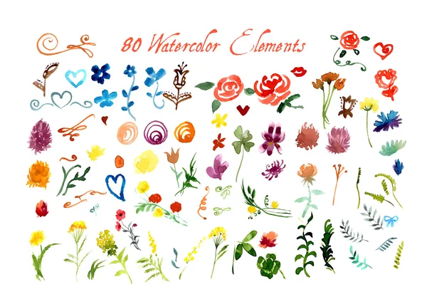 Acuarelă elemente florale — Vector de stoc