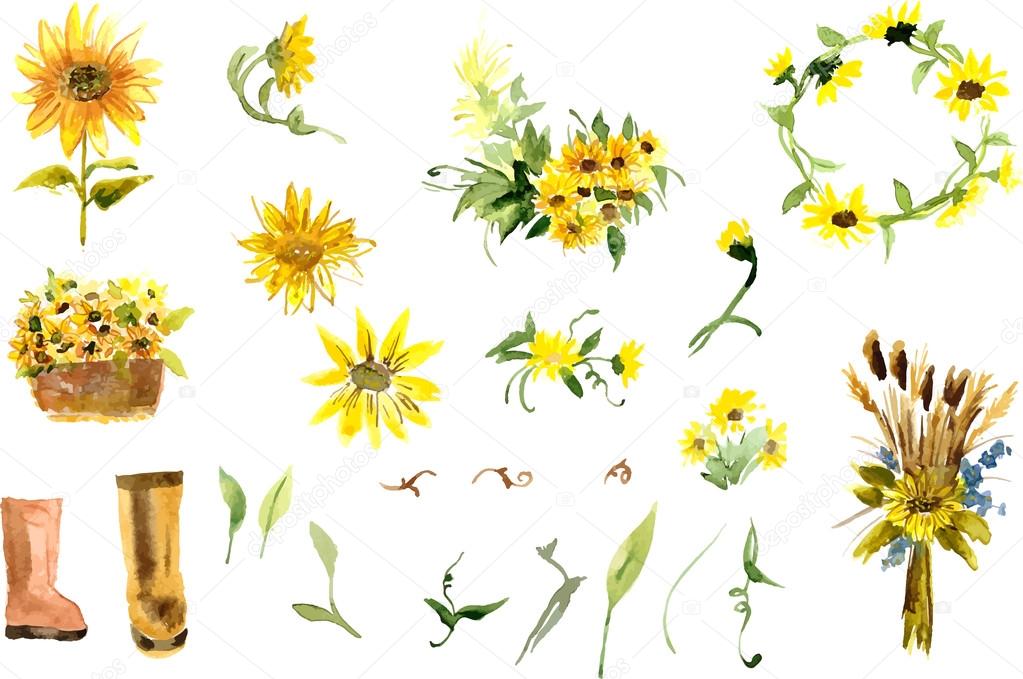 Composition of yellow sunflower