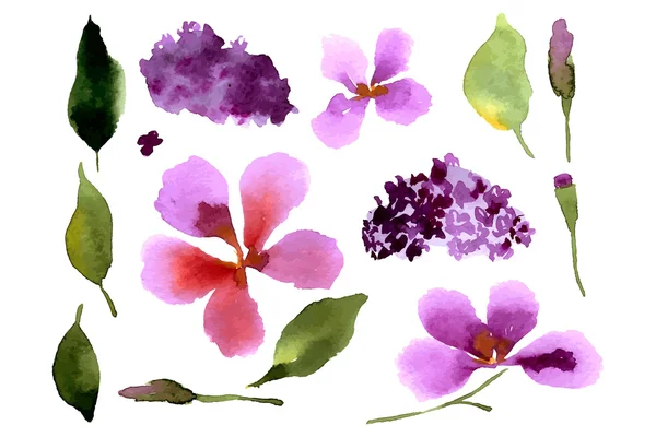 Purpurowe kwiaty i zielone liście — Zdjęcie stockowe