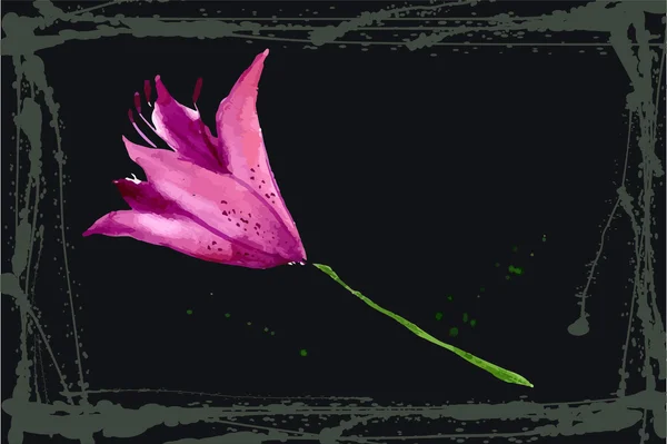 Κρίνος λουλούδι ζωγραφισμένα ακουαρέλα — Διανυσματικό Αρχείο