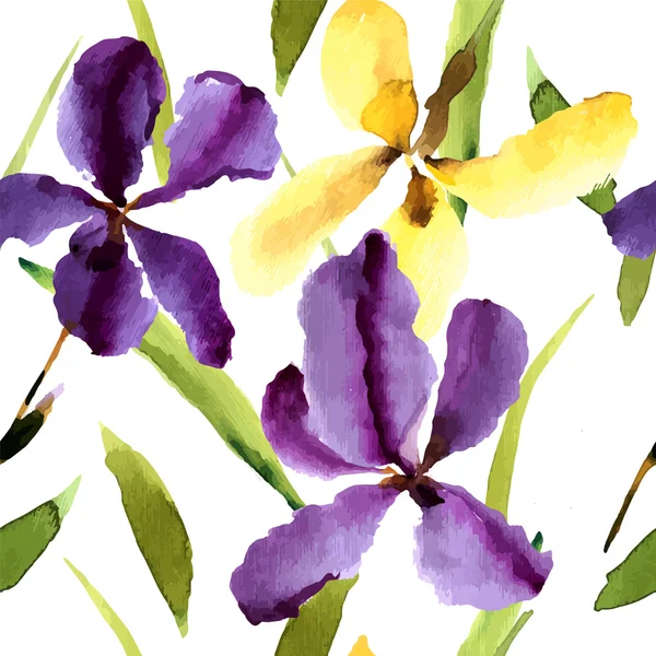 Ακουαρέλα λουλούδια ίριδας φόντο — Διανυσματικό Αρχείο