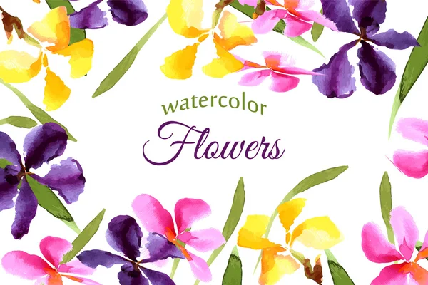 Цветы радужной оболочки — стоковый вектор