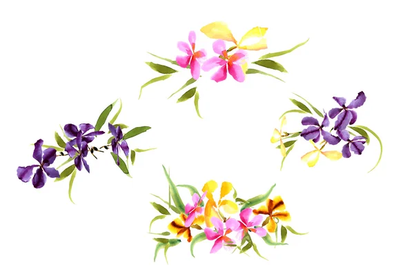 Fondo acuarela Iris flores — Archivo Imágenes Vectoriales