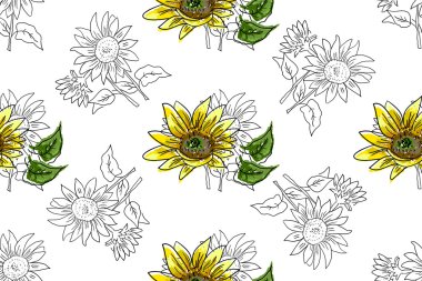 Sarı suluboya ayçiçeği