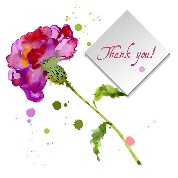 pembe karanfil çiçek