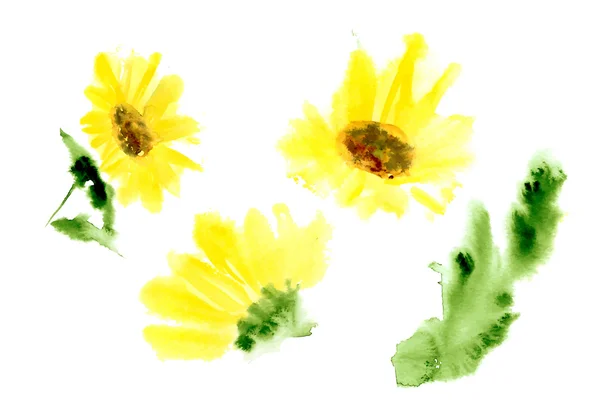 Girasoles acuarela amarilla — Archivo Imágenes Vectoriales