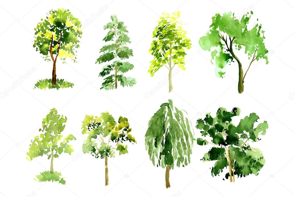 Collection of painted trees