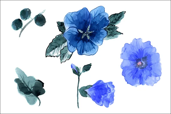 Flores y hojas de la malva — Vector de stock