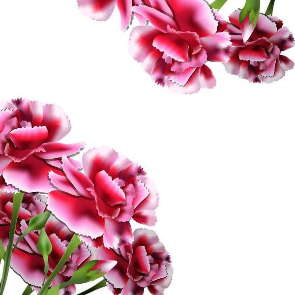 Kartkę z życzeniami z różowe kwiaty — Wektor stockowy