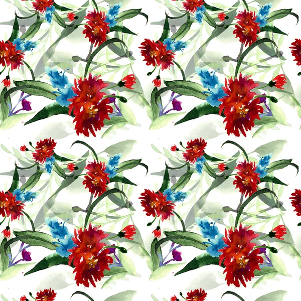 Red and blue wildflowers — Stock Photo, Image