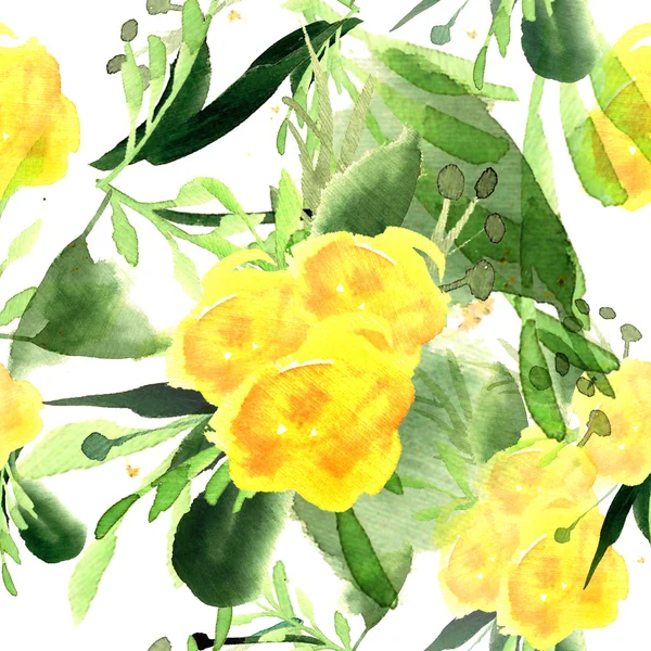 Flores silvestres amarillas floreciendo — Foto de Stock